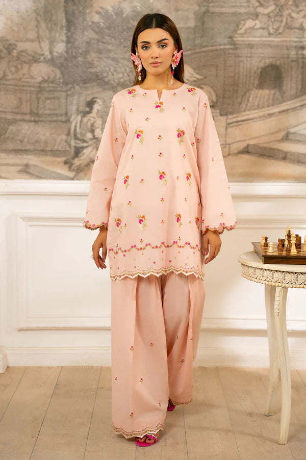 Pink Pashmina Farshi Salwar Suit