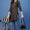 Black and gold motifs short kurti - Ethnic Wear